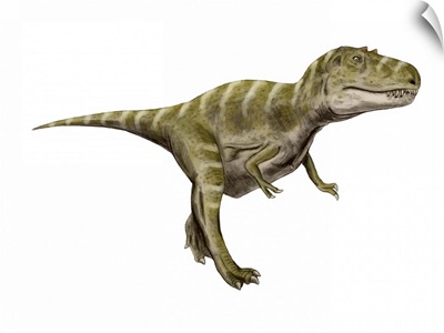 Gorgosaurus dinosaur