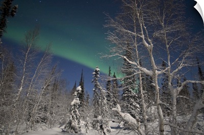 Green Aurora at Prelude Lake Yellowknife Northwest Territories Canada