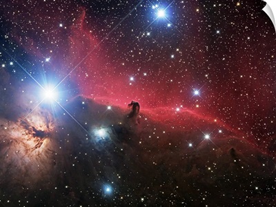 Horsehead Nebula and Flame Nebula in Orion