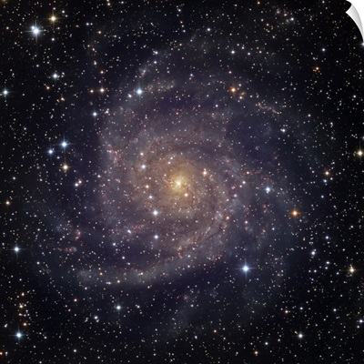 IC 342 an intermediate spiral galaxy in the constellation Camelopardalis
