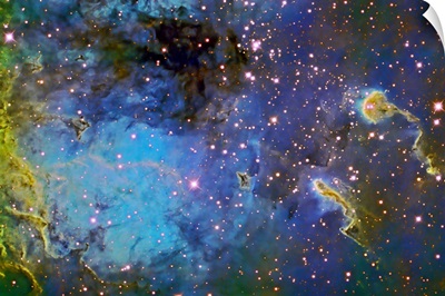 IC410 Tadpole formations