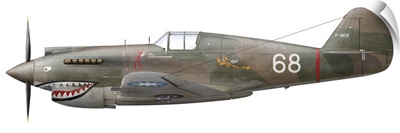 Illustration of a Curtiss P40-C Warhawk of the Flying Tigers