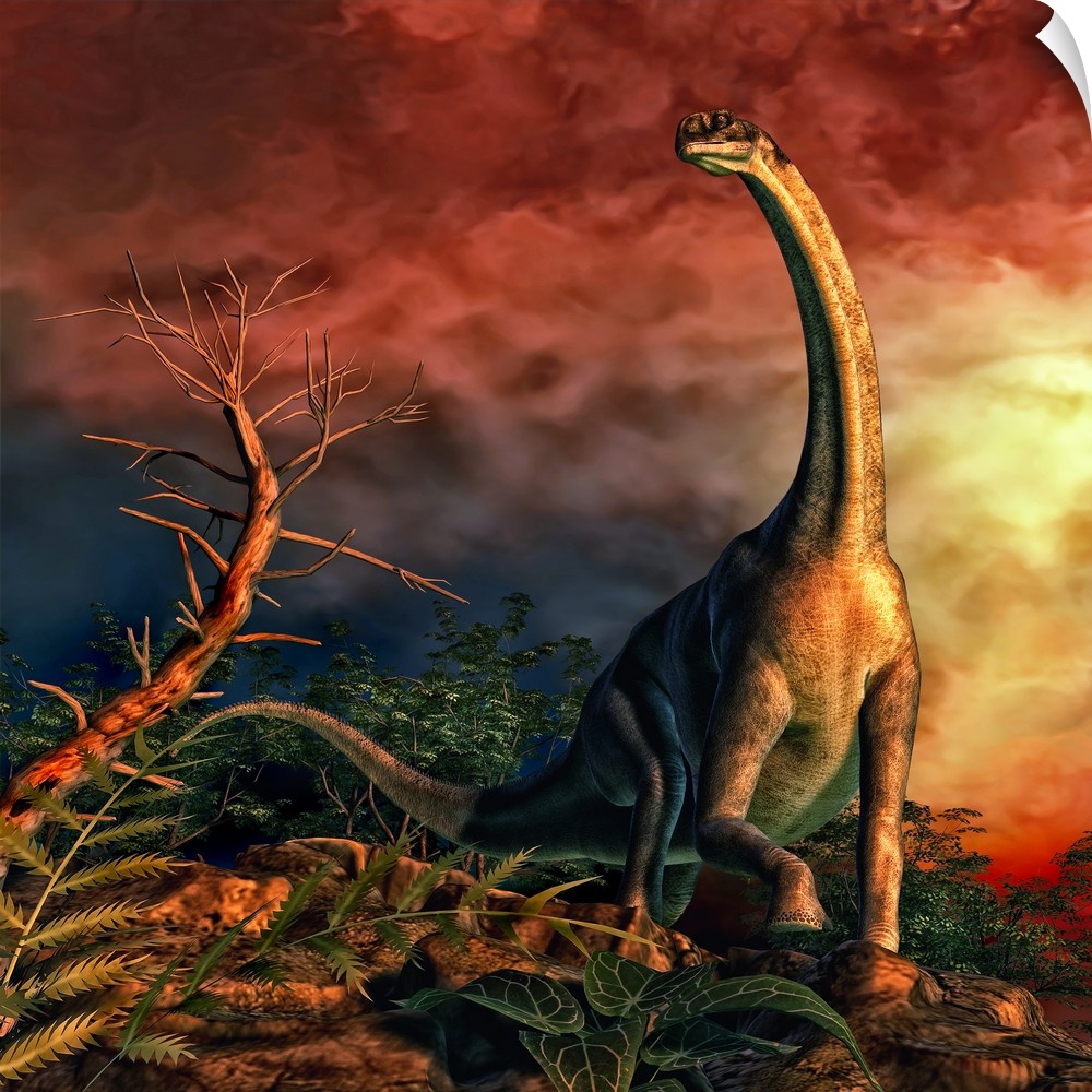 Jobaria was a sauropod dinosaur that lived during the middle Jurassic Period.