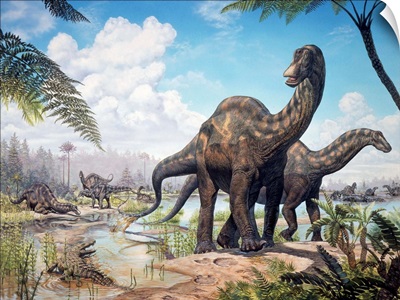 Large Dicraeosaurus sauropods from the Late Cretaceous of Africa.