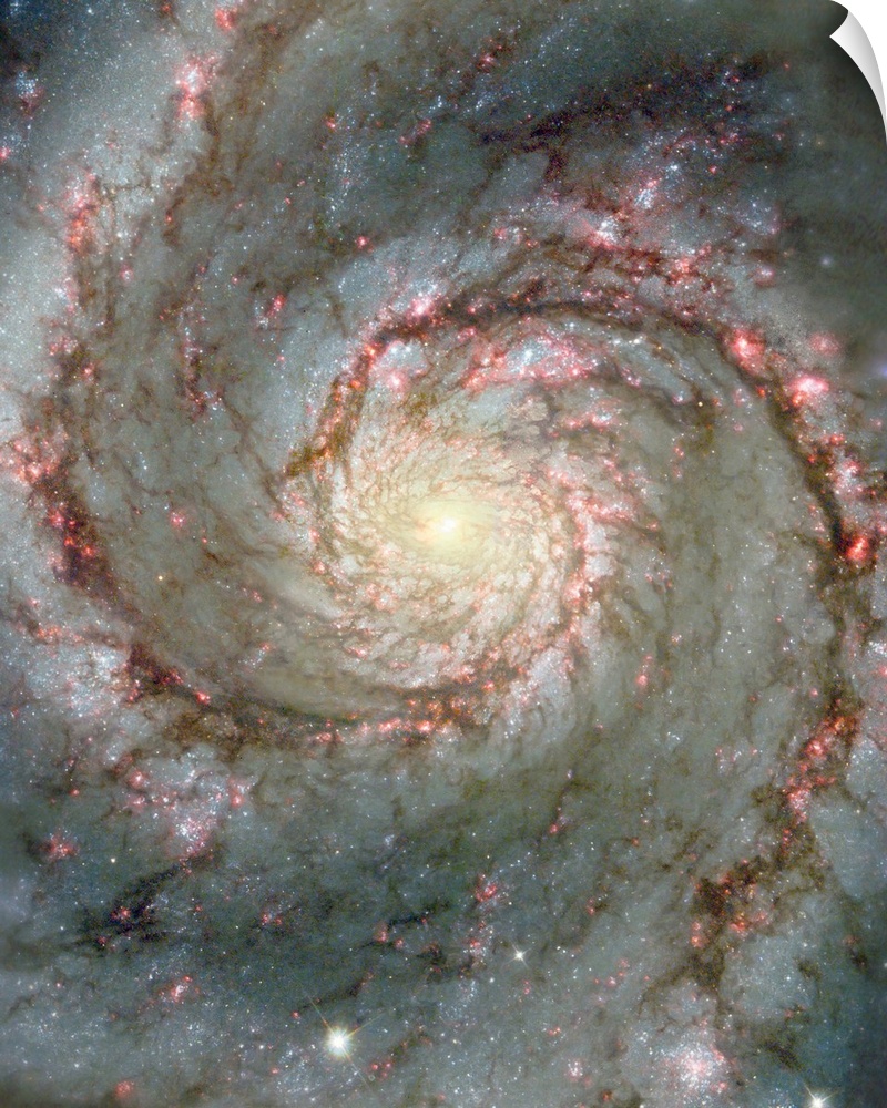 Space photograph of a spiral galaxy, circling counter-clockwise and trailing its arms full of stars.
