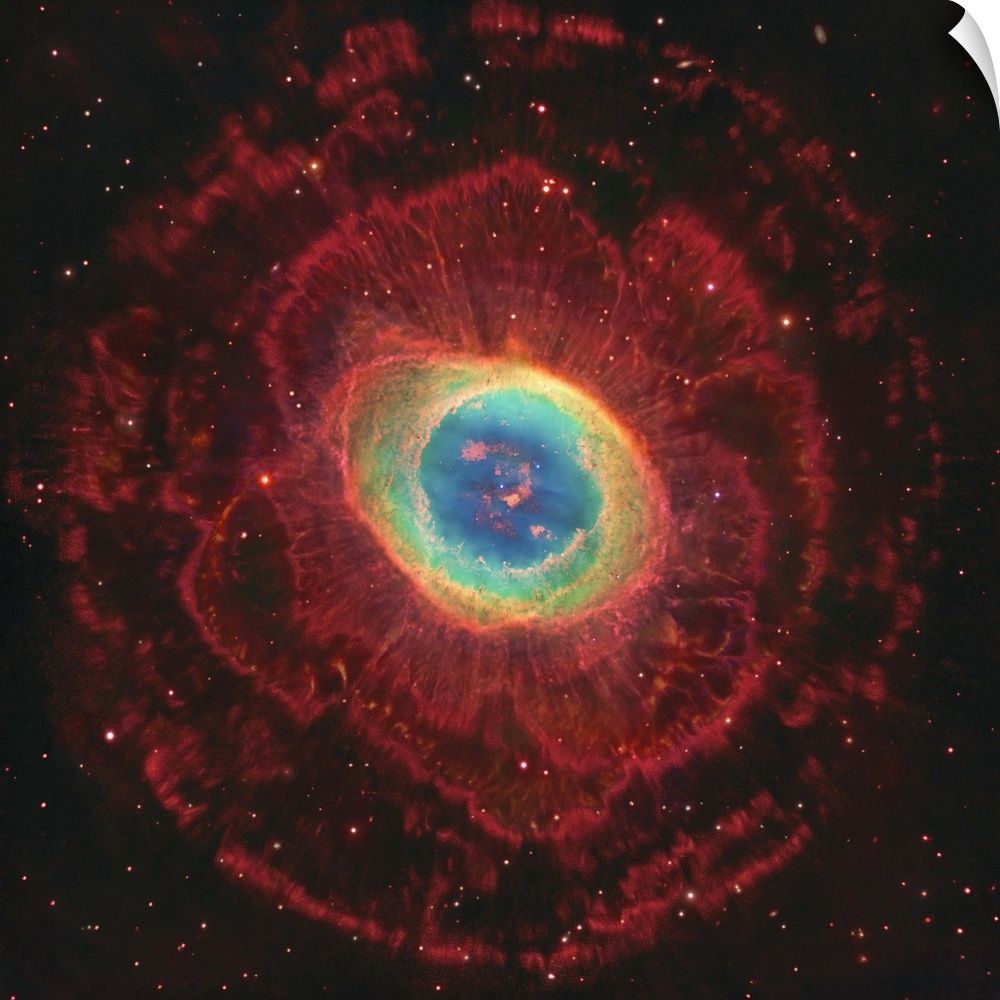 M57, The Ring Nebula. The inner shell glows green from ionized oxygen and nitrogen while hydrogen in the outer shell glows...