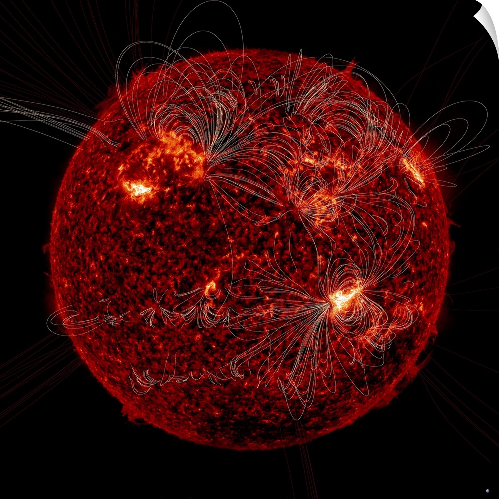 February 16, 2011 - Magnetic field lines on the Sun. Earth is visible in the bottom right corner to scale.