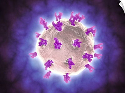 Microscopic view of rotavirus