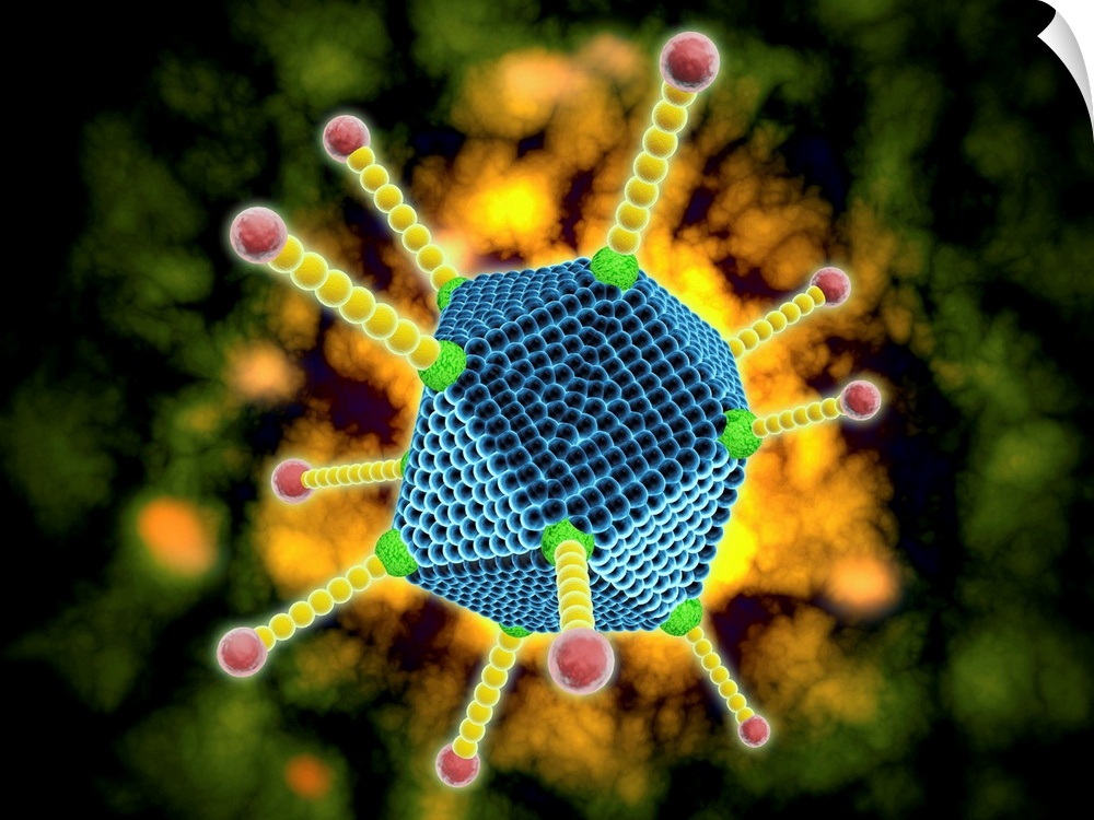 Conceptual image of the common cold virus. The common cold virus is an infectious disease typically transmitted via airbor...