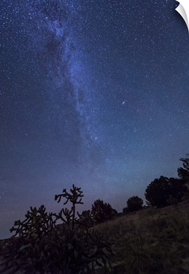 Milky Way rises over a hill of brush and cacti, Kenton, Okalhoma