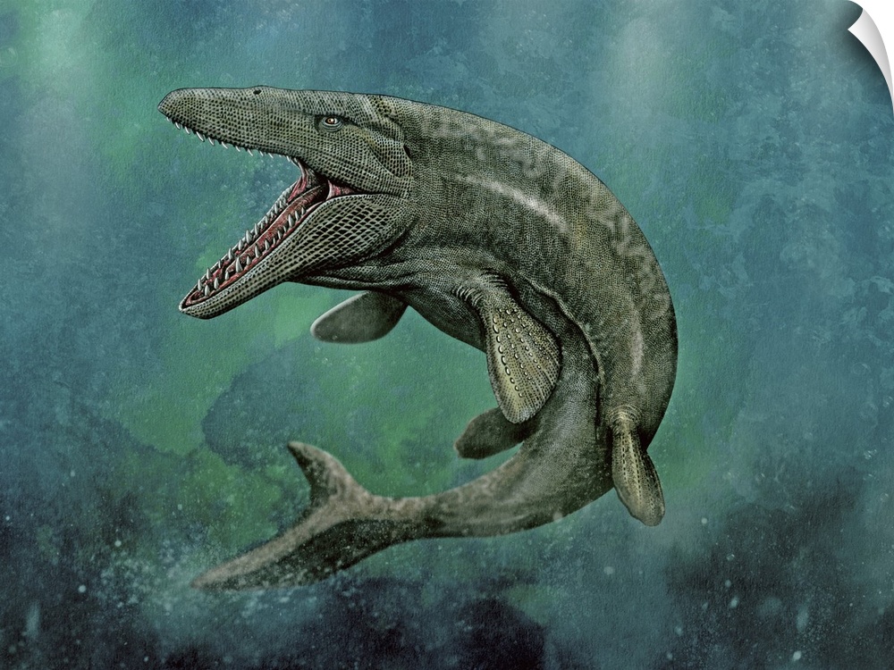 Mosasaurus swimming.