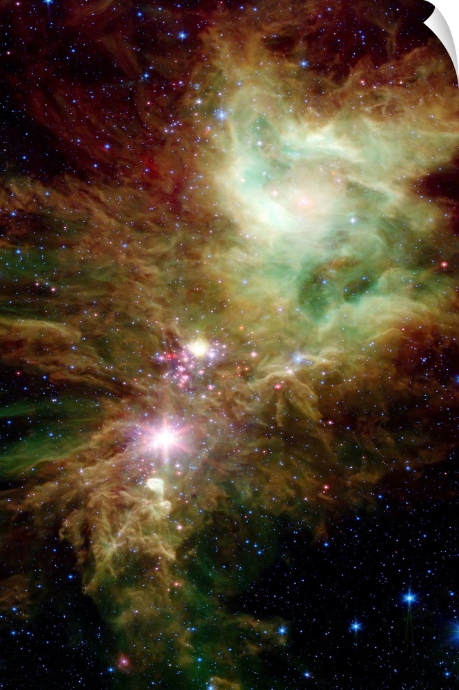 Portrait, large wall picture of many stars in the Christmas Tree cluster.