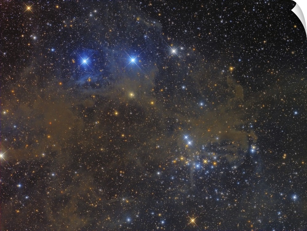 NGC 1342 open cluster in Perseus.