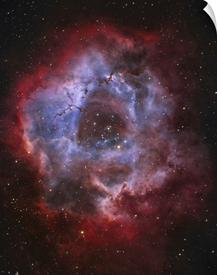 NGC 2237, the Rosette Nebula