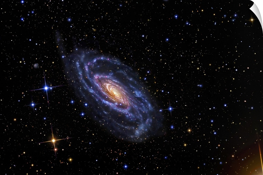 NGC 5033 a spiral galaxy situated in the constellation of Canes Venatici