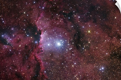 NGC 6188 Starforming Region in Ara