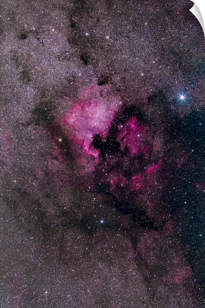 NGC 7000, the North America Nebula, in the constellation Cygnus.