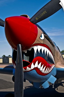 Nose art on a Curtiss P-40E Warhawk