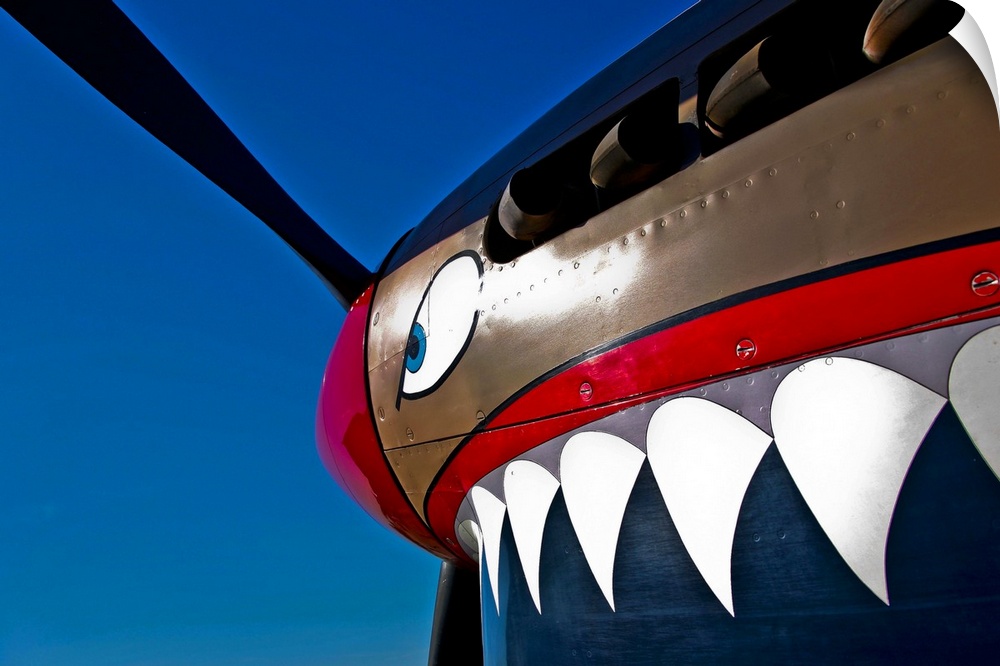 Close-up view of the nose art on a Curtiss P-40E Warhawk on display at the Warhawk Air Museum, Nampa, Idaho.