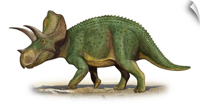 Ojoceratops fowleri, a prehistoric era dinosaur