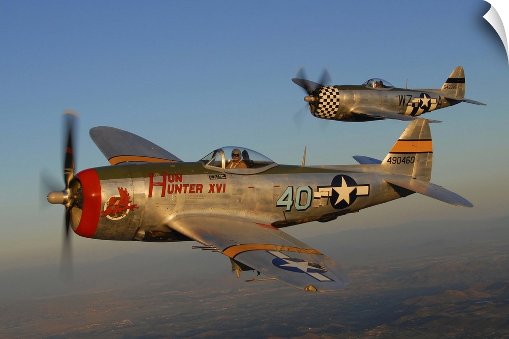 Republic P-47 Thunderbolts flying over Chino, California.