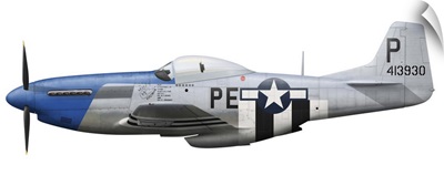 P-51D Mustang assigned to the 328th Fighter Squadron