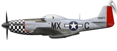 P-51D Mustang of the 78th Fighter Group