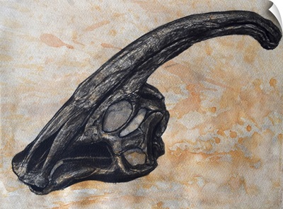 Parasaurolophus walkerii dinosaur skull