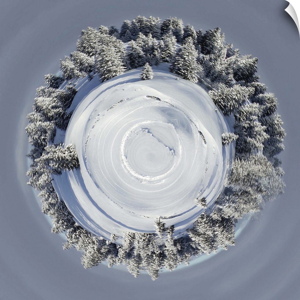 Planet of beautiful fir trees covered with snow in the Jura Mountains on a winter day in Switzerland.