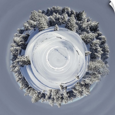 Planet of beautiful fir trees covered with snow in the Jura Mountains, Switzerland