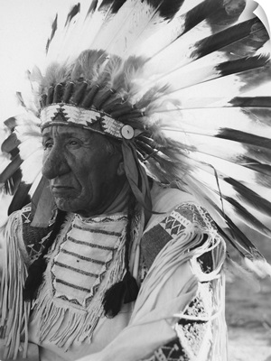 Portrait of Chief Red Cloud in headdress