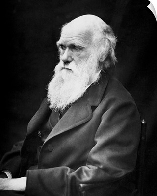 Portrait of naturalist and geologist Charles Darwin