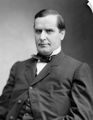 Portrait Of William Mckinley During His Term As U.S. Congressman For Ohio