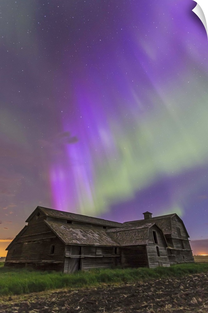June 7-8, 2014 - An all-sky aurora with green and purple curtains in southern Alberta. The Big Dipper is visible above the...