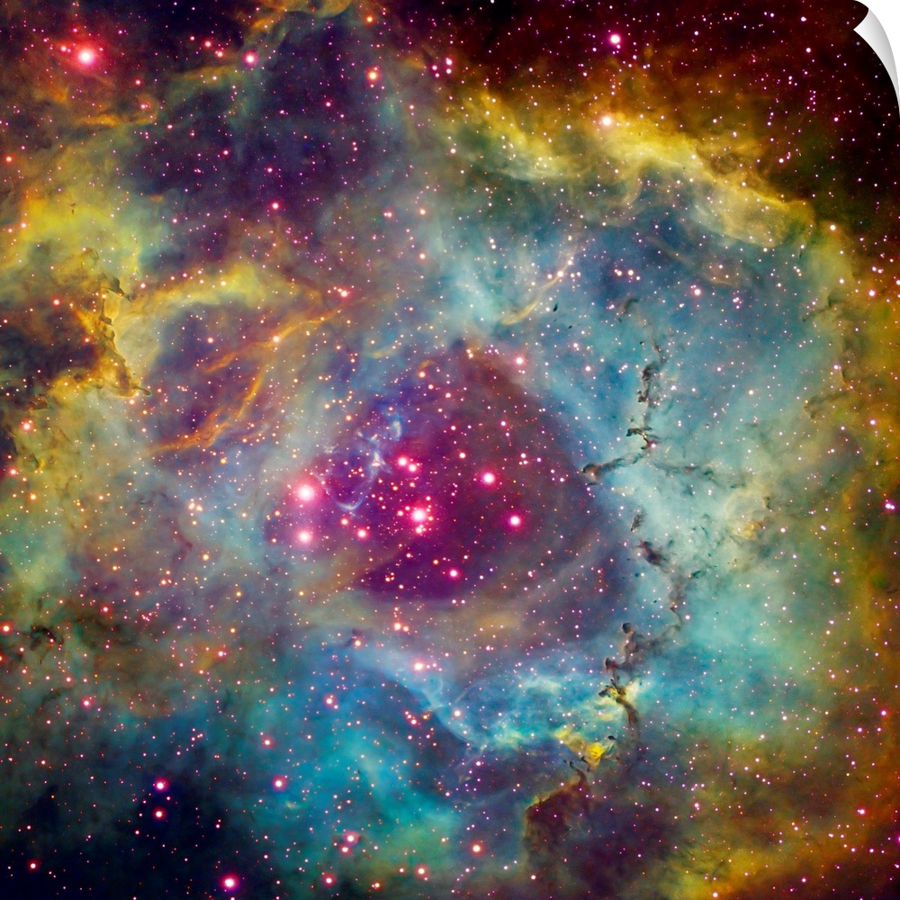 Large square photograph taken of a star filled sky against the vibrant background of Rosette Nebula in Monoceros.
