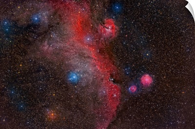 Seagull Nebula, IC 2177