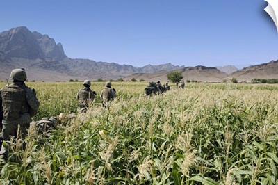 Soldiers walking through a wheat field in Afghanistan