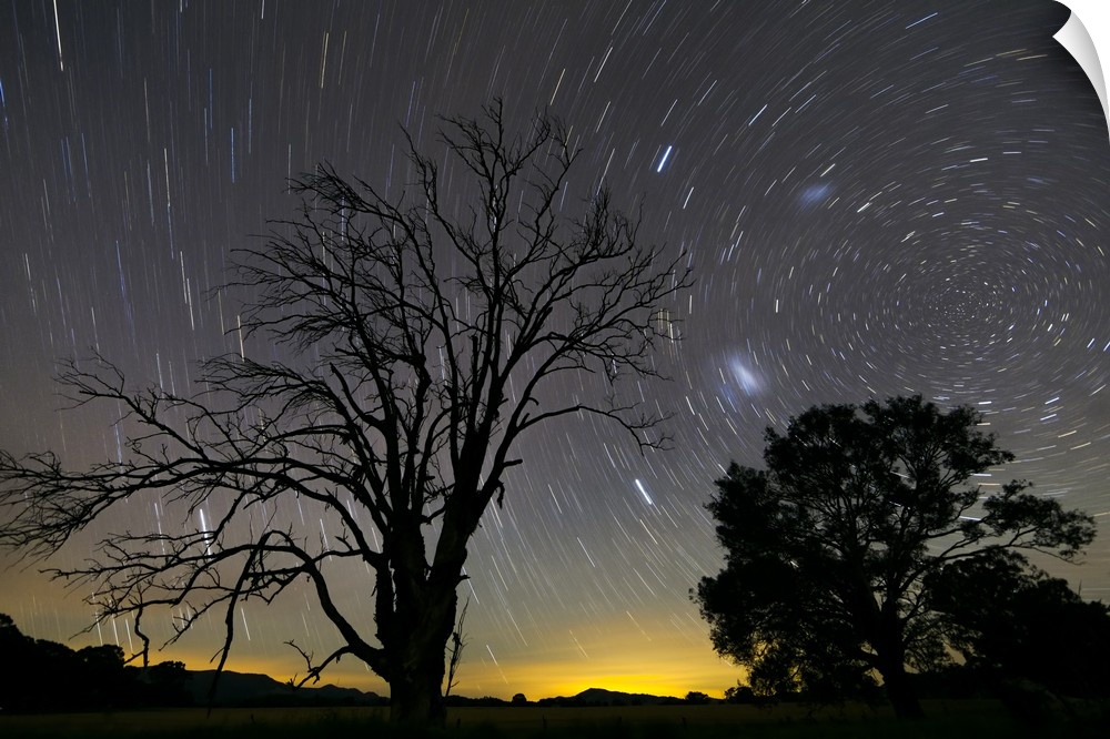 Southern skies star trails, Mudgee, New South Wales, Australia.
