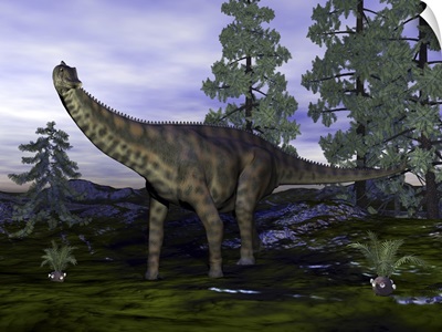 Spinophorosaurus dinosaur next to Wollemia pine trees