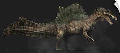 Spinosaurus Dinosaur, Side View On Colored Background