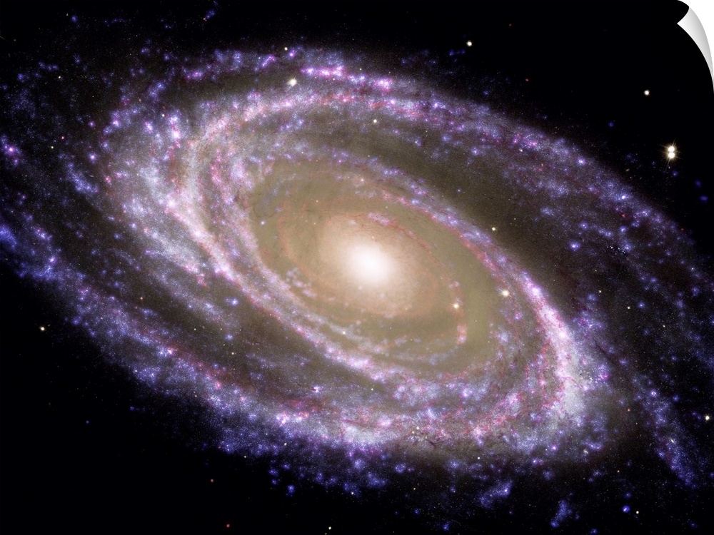 Spiral galaxy Messier 81