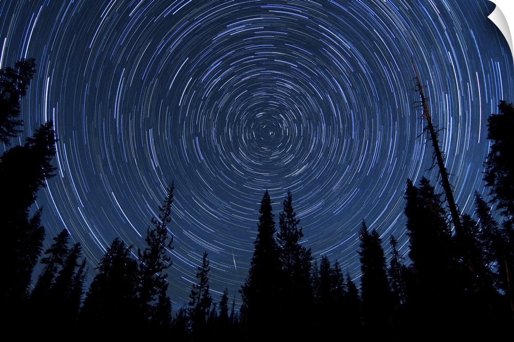Star trails and a meteor over the pine trees in Lassen Volcanic National Park, California.