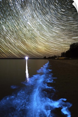 Star trails and bioluminescence, Gippsland Lakes, Australia
