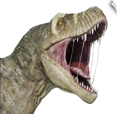 T-Rex Head With Open Mouth, Isolated On White Background