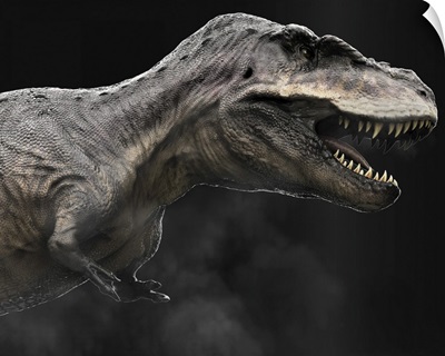 Tarbosaurus Dinosaur, Profile View