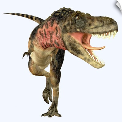 Tarbosaurus dinosaur roaring