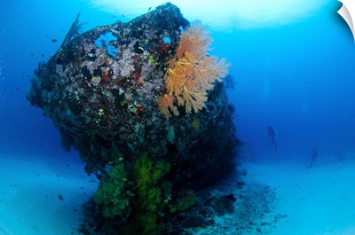 The coral encrusted stern of the Japanese Cross Wreck
