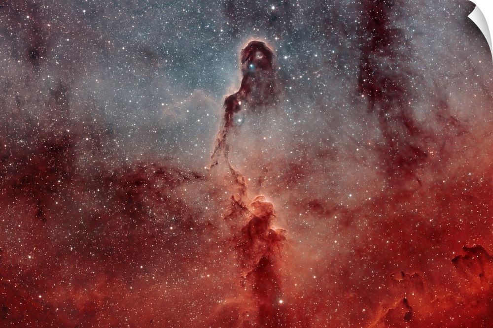 Detailed view of IC 1396, The Elephant Trunk Nebula.