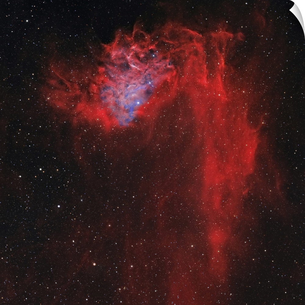 The Flaming Star Nebula, also known as IC 405.