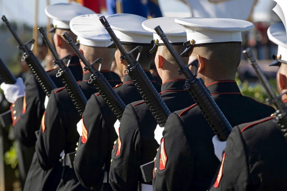 Big canvas photo of Marines holding rifles lined up facing away from the camera.